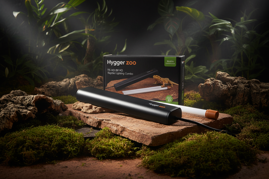Kit de Iluminación UVB T5 10.0 para Reptiles de Desierto — Hygger 8W