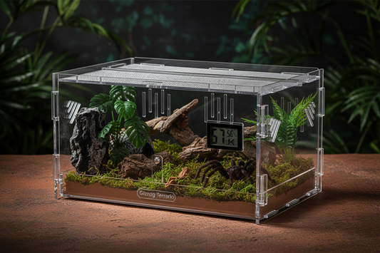 Terrario Acrílico Giznzg